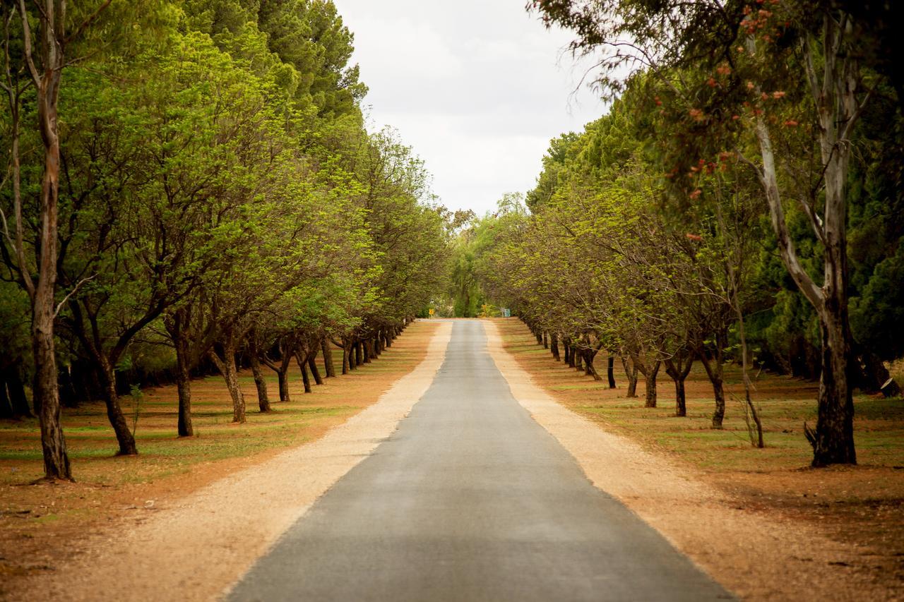 Renmark Country Club Kültér fotó