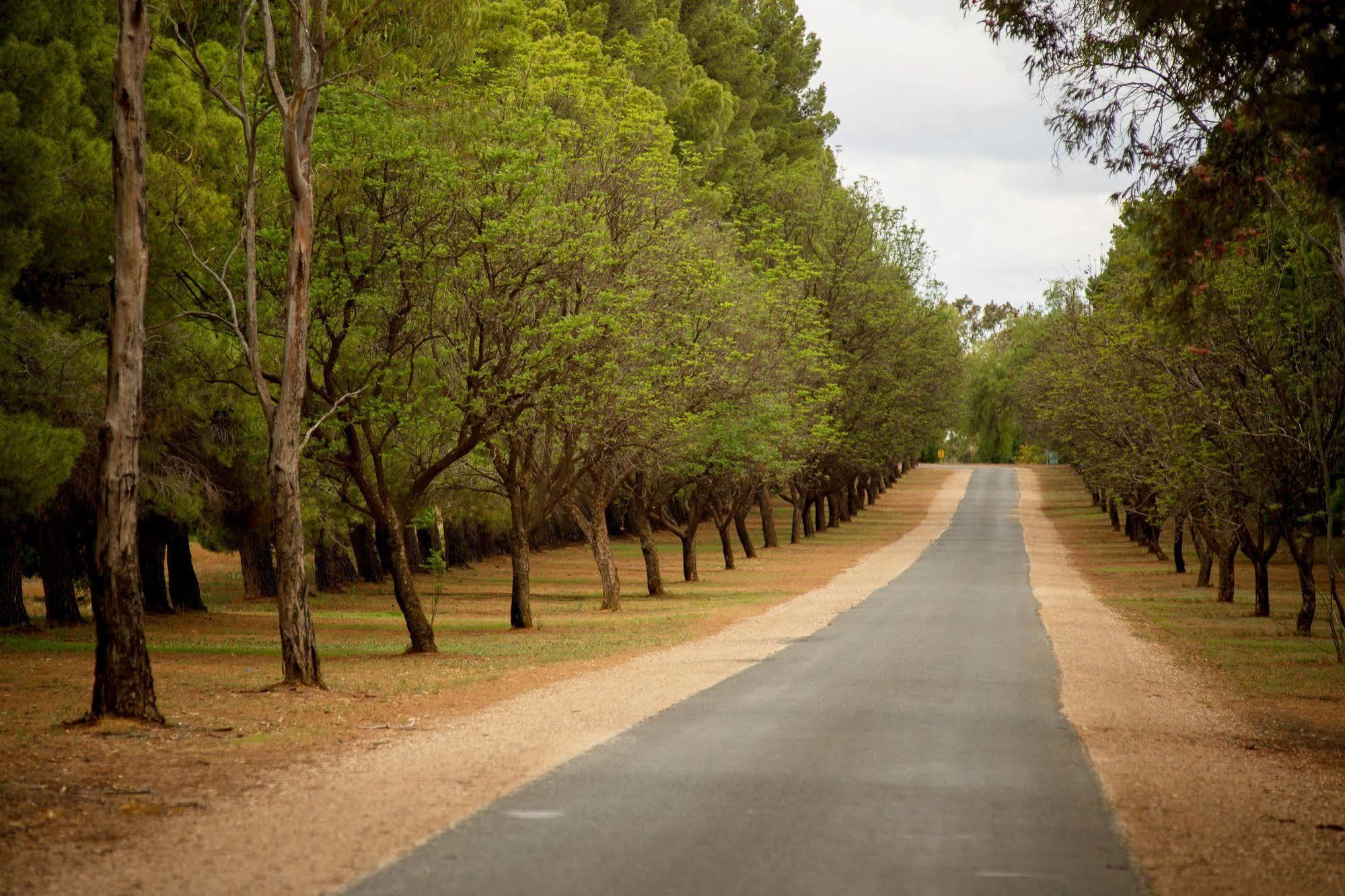 Renmark Country Club Kültér fotó