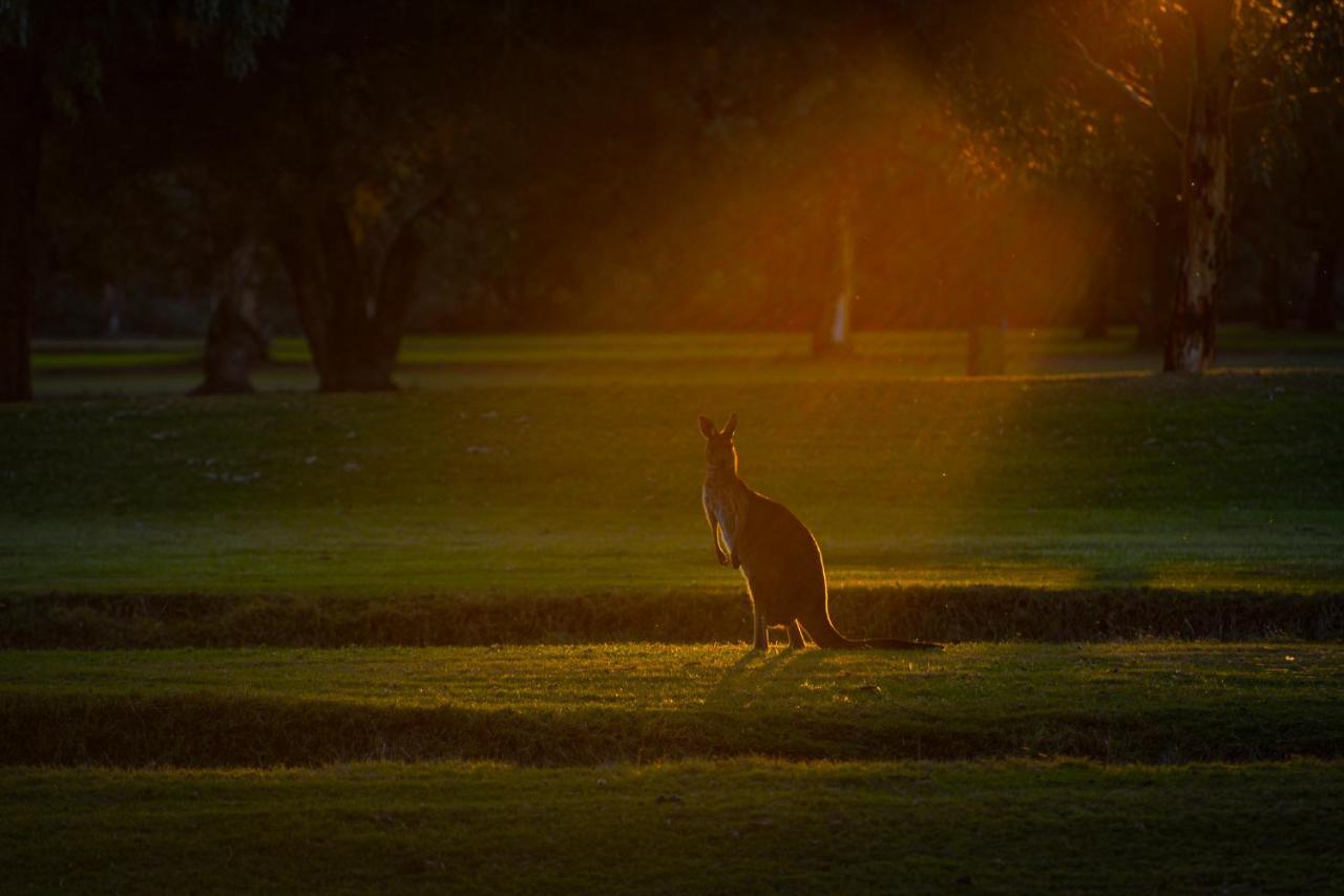 Renmark Country Club Kültér fotó