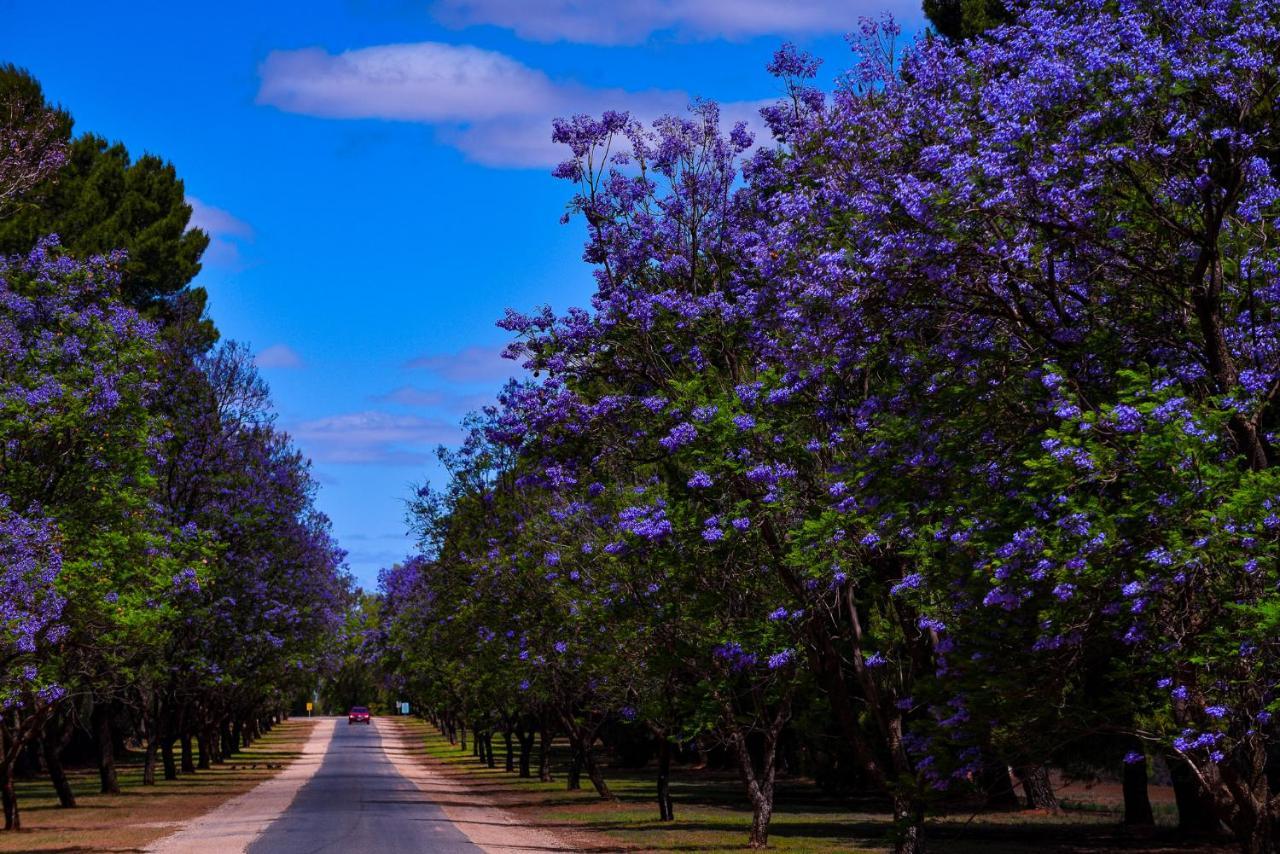 Renmark Country Club Kültér fotó