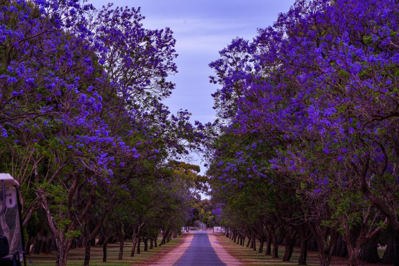 Renmark Country Club Kültér fotó