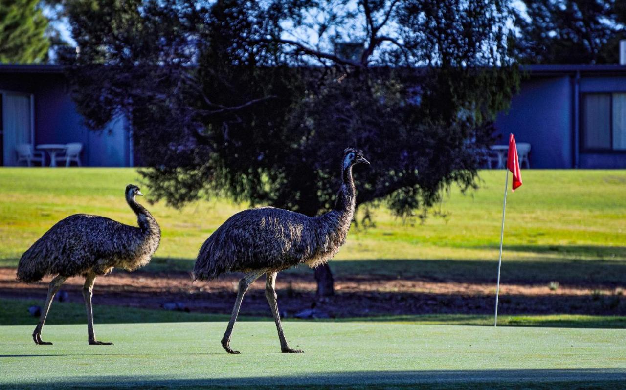 Renmark Country Club Kültér fotó